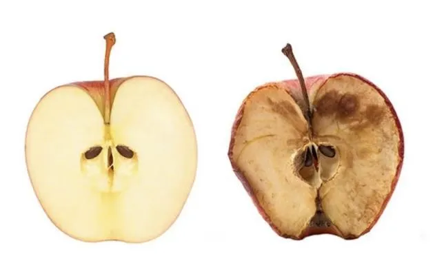 UNVEILING SKIN OXIDATION AND ANTIOXIDANTS: PROTECTING YOUR SKIN FROM FREE RADICAL DAMAGE